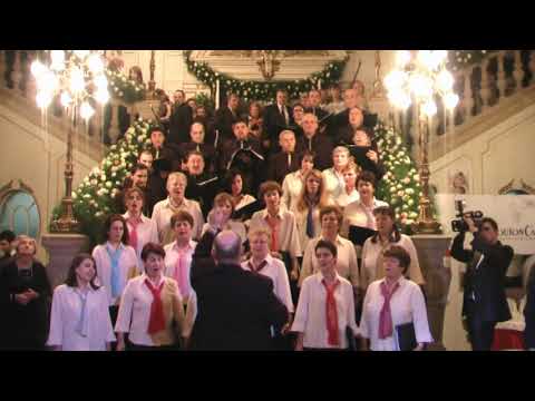 Sârba pe loc - Gheorghe Danga