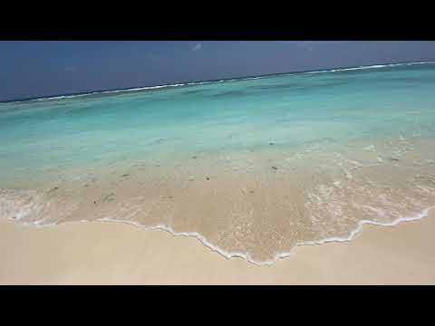 La Passe sahil şeridinde çok sayıda doğal havuzun bulunduğu Silhouette Adasındaki uzun kumlu plajdır