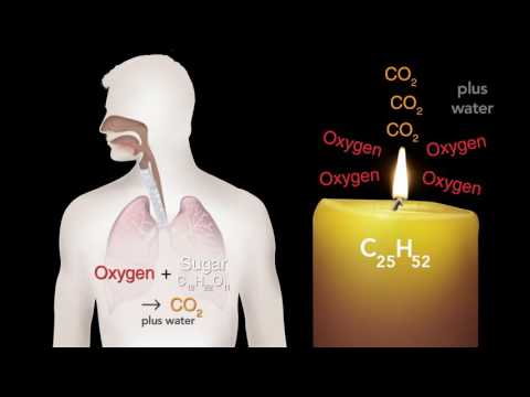The Chemical History of a Candle - Part-5