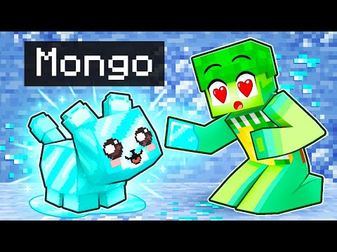 Playing Minecraft as a HELPFUL Diamond Kitten!