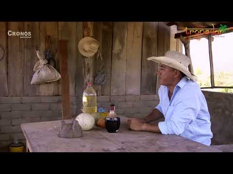 30 Cartas - Grupo Tronador - Videoclip Oficial