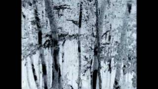 AUNQUE TU NO LO SEPAS (El Canto del Loco)