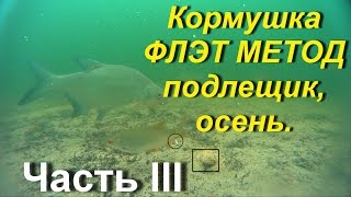 Ловля леща на кормушку флэт