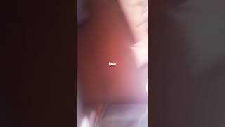 Download lagu sek mp3 Download lagu sek mp3