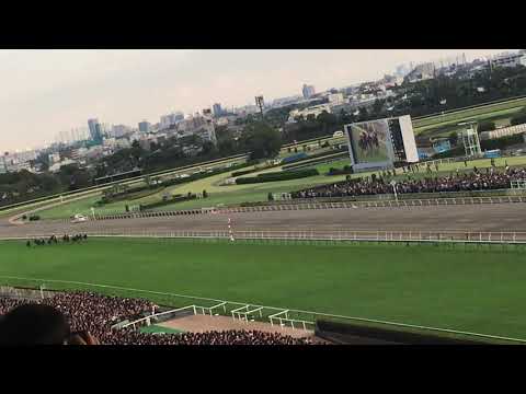 2019 天皇賞秋 最後の直線（アーモンドアイ 2019.10.27）