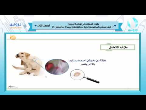 الخامس الابتدائي | الفصل الدراسي الأول 1438 | علوم | العلاقات في الأنظمة البيئية 3