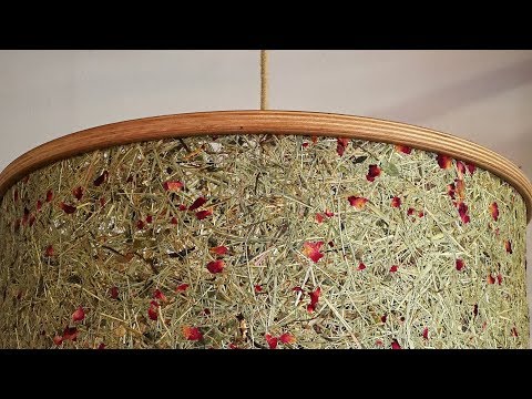 Видеообзор