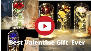 Best Valentine Gift ever 2020 (Beauty and the Beast rose Lamp)