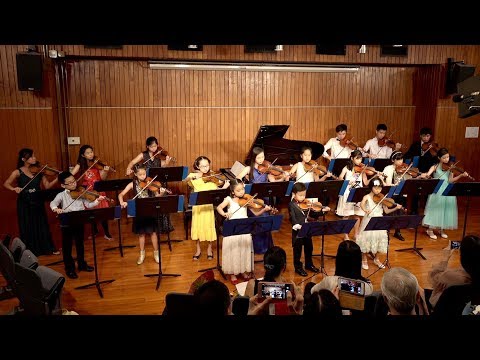 The Blue Danube Violin Ensemble