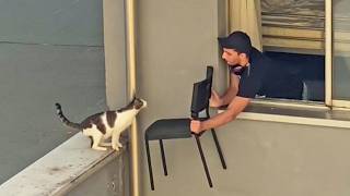 Cat Claims You As His 