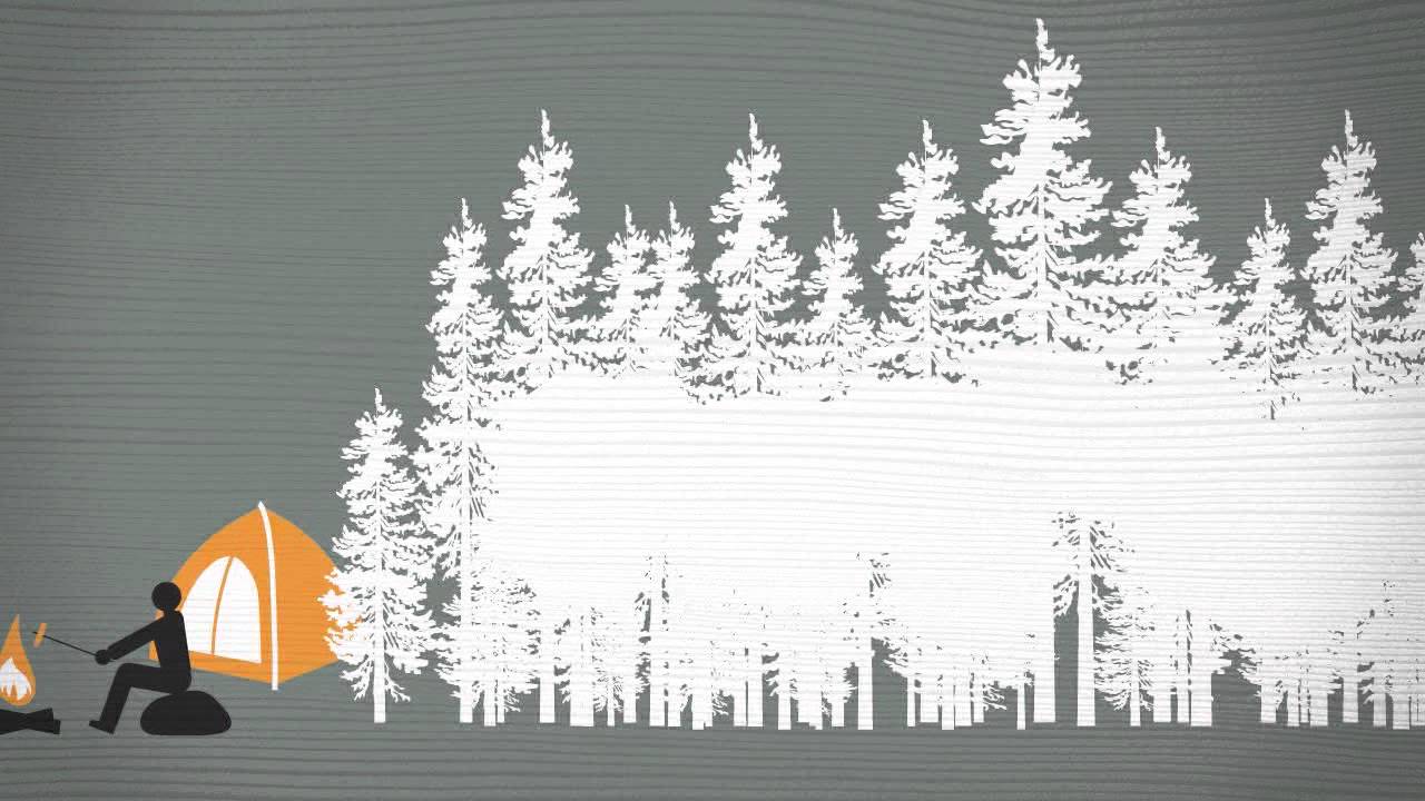 FOREST FAST BREAK:  Fire Safety