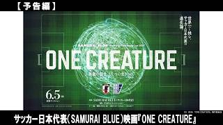 世界を⽬指すサッカー⽇本代表のワールドカップへの“進化”の軌跡を映し出す物語