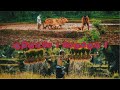 ஆதிகுடியே பெருங்குடி Hd Status