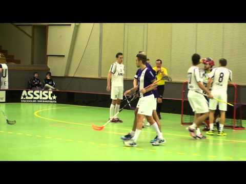 AIK - Salem Highlights Rinkside, 2015-02-06