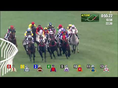 醉眼光    21/12/27……(287)第八塲四班1400米