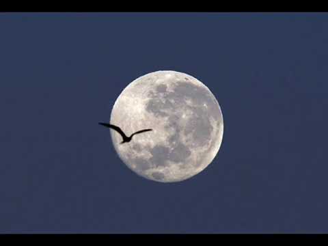 Tutti Frutti - Você