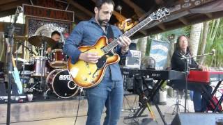 "Ophelia" - The BRUCE KATZ BAND