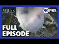 Niagara Falls Full Episode NATURE PBS