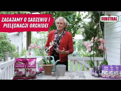 , title : 'Zagajamy o sadzeniu i pielęgnacji orchidei | Artur Zagajewski & Substral'