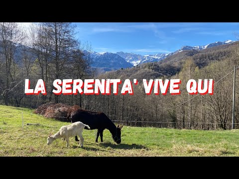 The unexpected ending! - Ep. 357 - Mountain Life