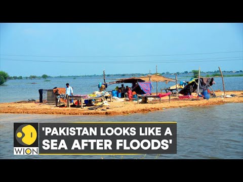 WION Climate Tracker: Nearly a third of Pakistan is under water; 33 million affected due to floods