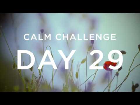 Calm Challenge | Day 29