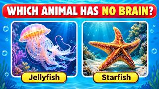 How Well Do You Know Animals? 🦁 | Animals GK Quiz | Animals Trivia Challenge