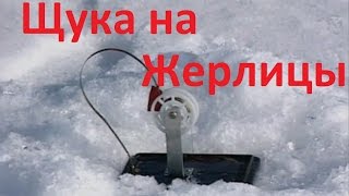 Диалоги о рыбалке ловля в океане