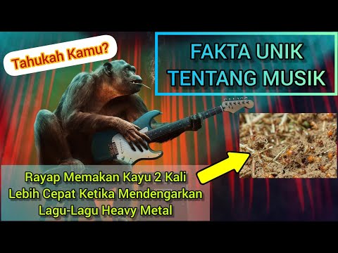 Tahukah Kamu? | Fakta Unik Tentang Musik | Global Unik