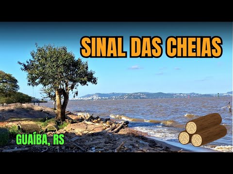 Orla da cidade de Guaíba, RS semanas depois da "inundação" de madeira - 16/09/2026