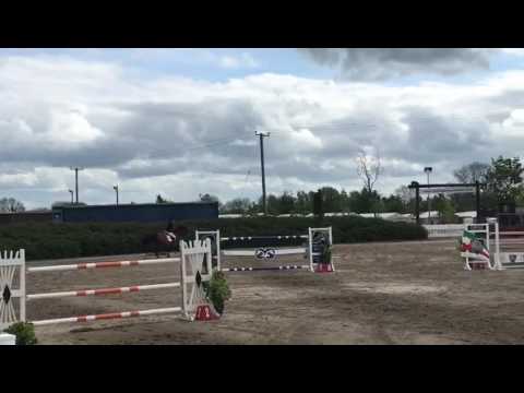 Cavalino 1.40m RDS Qualifier Mullingar (2nd Round)
