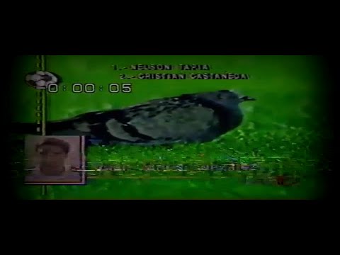 Bonvallet "Como Ganarle al Adversario"