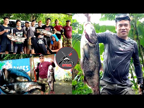 Ep 28 DUONG sa Sampaloc Lake(DAY2)Part 1|GIANT BLACKMASKFISH|FISHKILL due to Lake OVERTURN|SanPablo