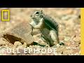 Surviving Earth S Most Extreme Climates Full Episode Hostile Planet Compilation Nat Geo