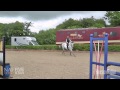 Guy Williams Teaching Your Horse How To Change Legs