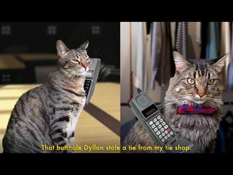 Winds of Change (Cat Soap Opera) Episode 37