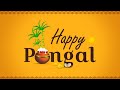 Pongal Whatsapp Status Happy Pongal Tamil Whatsapp Status Thai Pongal Status Pongal Status 2022