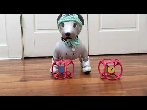 download lagu mp3 mp4 Dice Dog Toy, download lagu Dice Dog Toy gratis, unduh video klip Dice Dog Toy