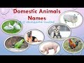 Domestic Animals Farm Animals Name In Tamil And English With Pictures