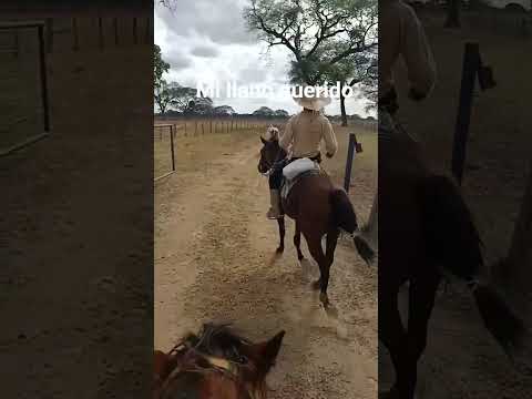 mi llano querido Venezuela portuguesa papelon 👍💪