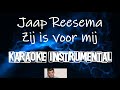 Jaap Reesema - Zij is voor mij  , Instrumental met tekst