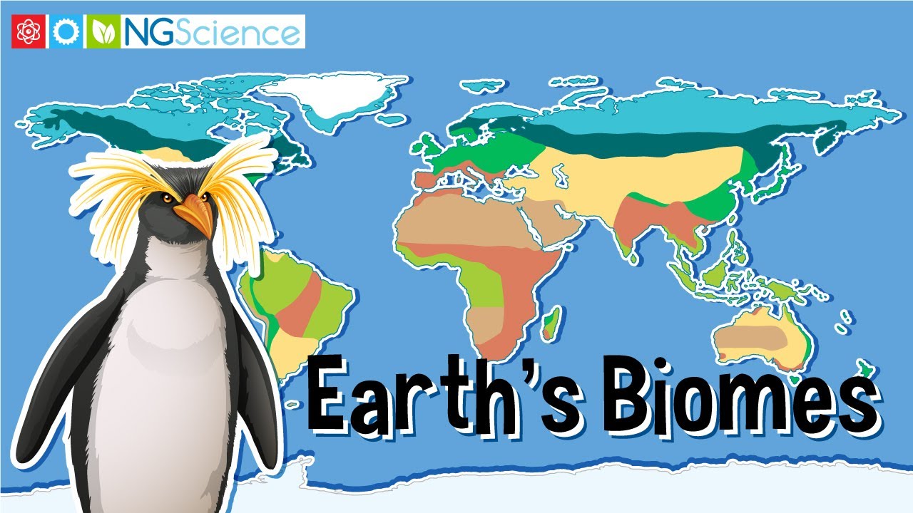 What is the largest biome in North America?