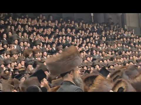 Grand Jewish Wedding In Antwerp - Pshevorsk - שמחת בית פשעווארסק