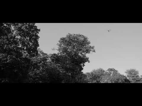 1 minute / 1 shot sequence - October the 10th  - Day - BW - 2:39