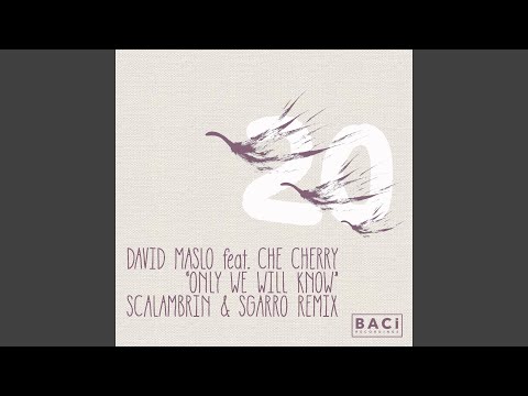 Only We Will Know (Instrumental Mix) (feat. Che Cherry)