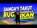 Pengertian Budidaya Ikan Hias Konsumsi
