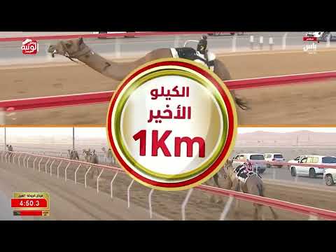 ش 4 (أقتراح) لـ محمد عتيق المقعودي الفلاسي 6:25:25 ، مهرجان العين 2026/08/08 ثنايا الروضة