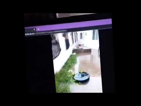 Budesti 2023 inundații