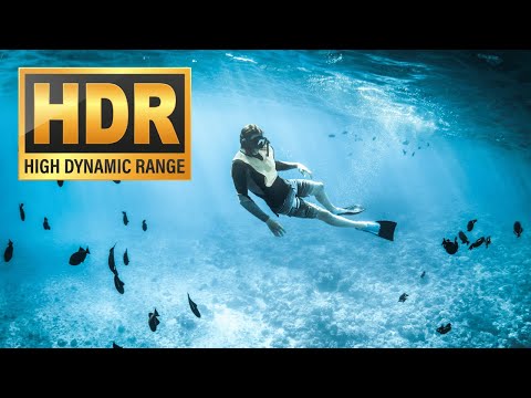 Maldives Deep South Diving | 4k HDR Dolby Vision