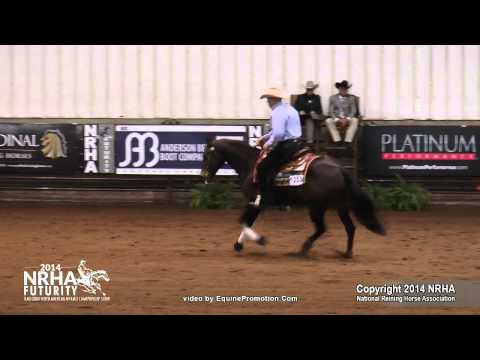Wimpys Top Model ridden by Randy L Schaffhauser  - 2014 NRHA Futurity (Nov. Horse Open)